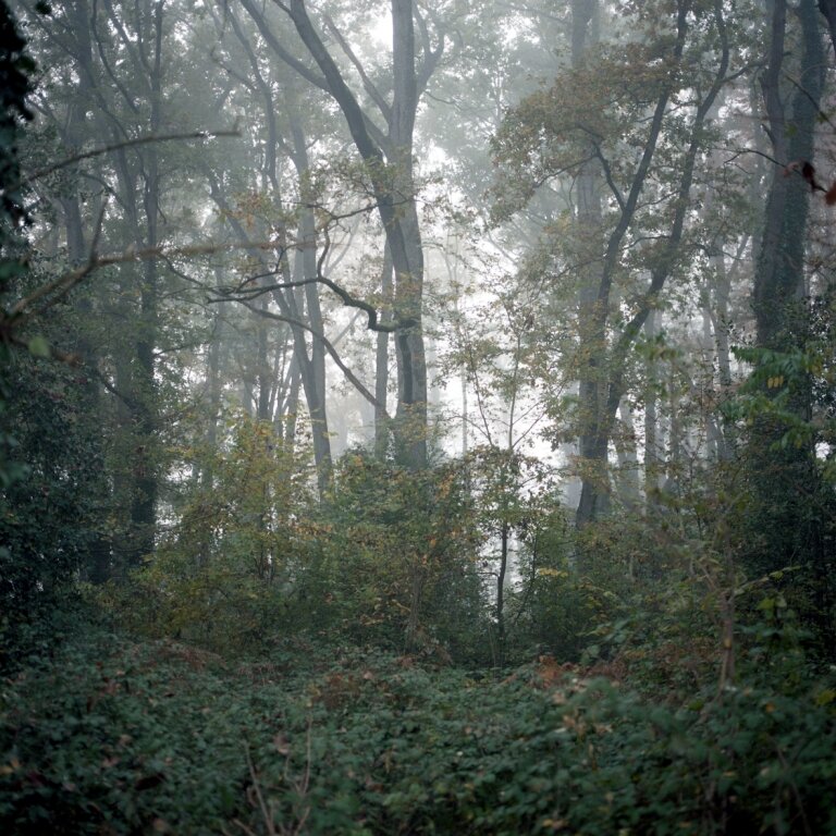 Terra Humida